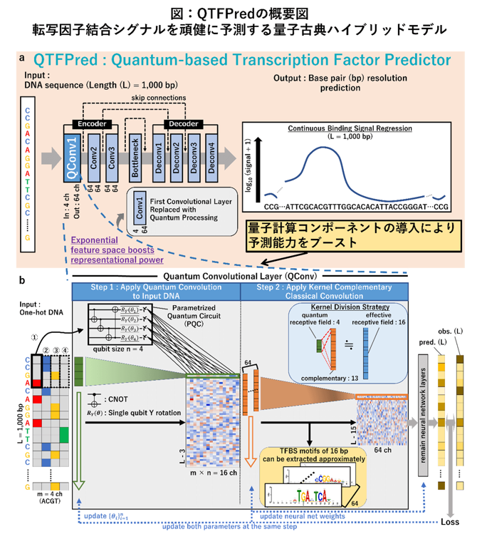 BlueMemeと九州大学、量子AIを活用した先進的ゲノム解析技術の研究成果